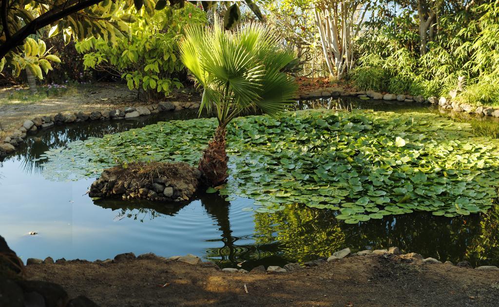 Apartments Finca El Rincon Ля Оротава Экстерьер фото