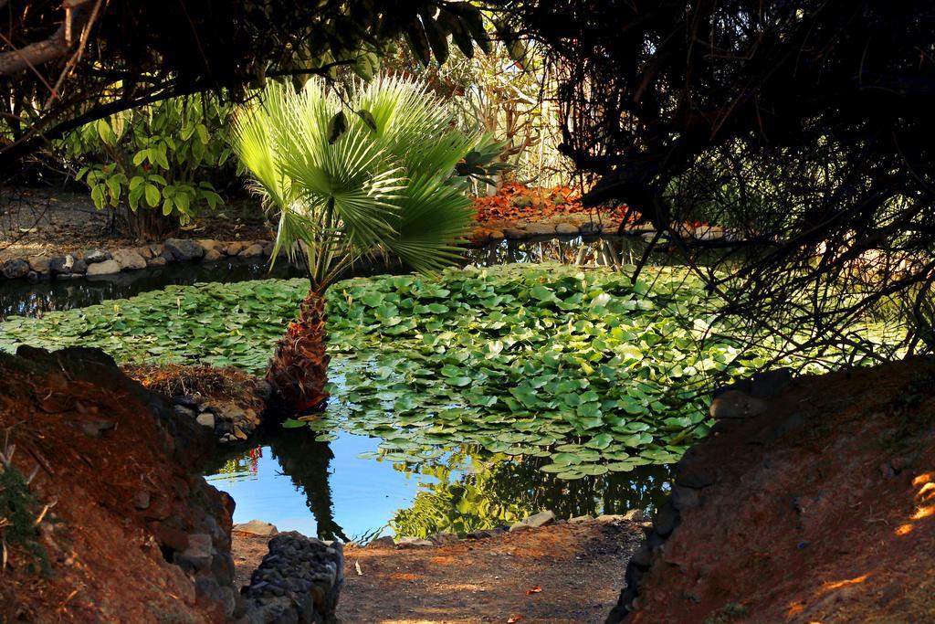 Apartments Finca El Rincon Ля Оротава Экстерьер фото