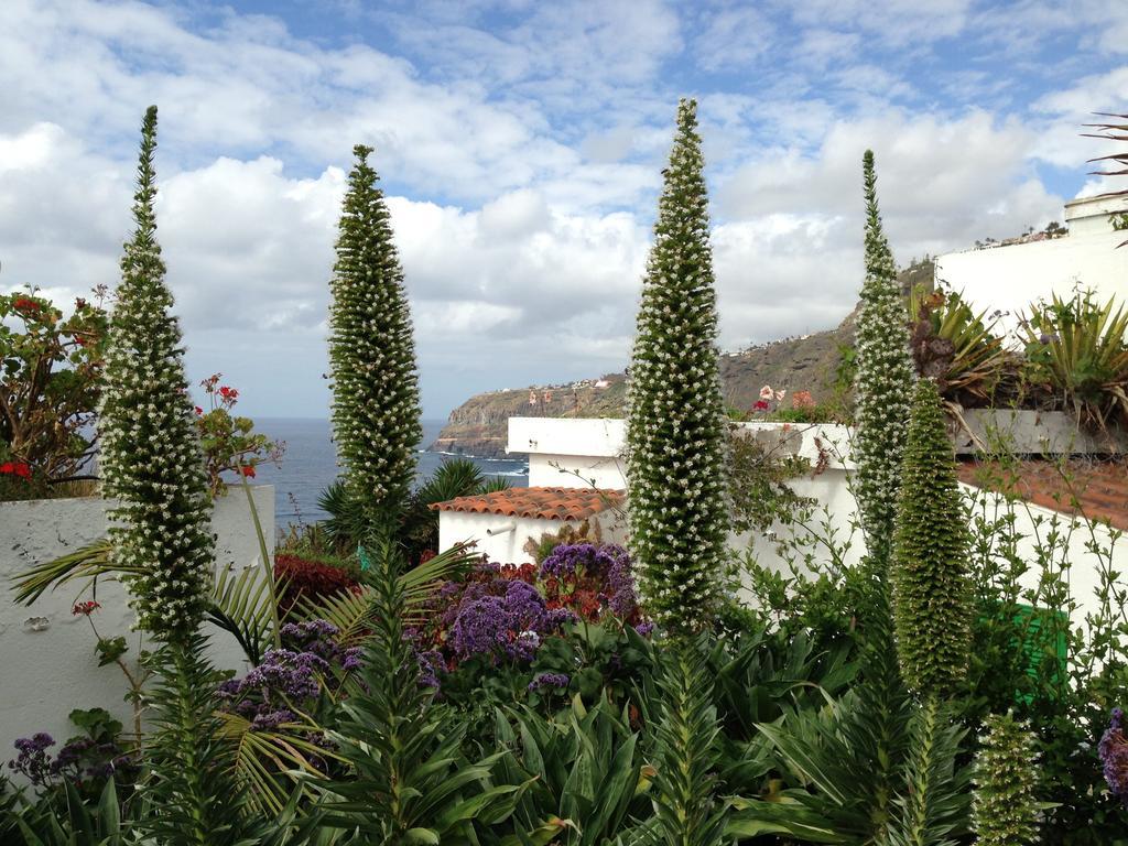 Apartments Finca El Rincon Ля Оротава Номер фото