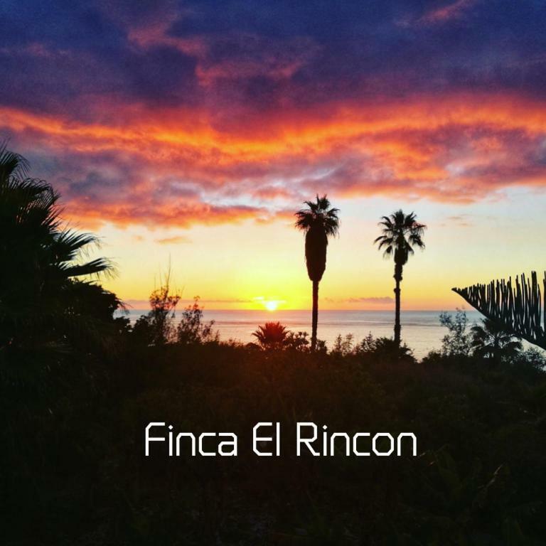 Apartments Finca El Rincon Ля Оротава Экстерьер фото